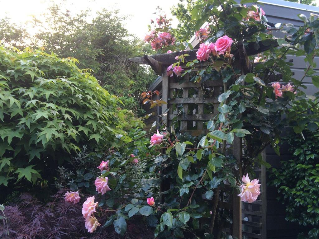 Firth Street Mews B&B Matamata Exterior foto